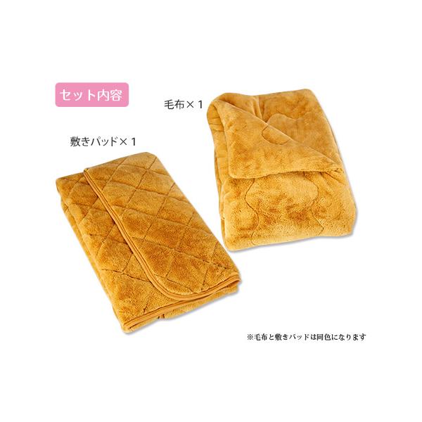 ntvshop_8001a6010009_2_d_20231031141514