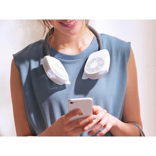 ݌ɏ ( |_ut@@×4 Zbg ) N[t@ lbNt@ | @yz