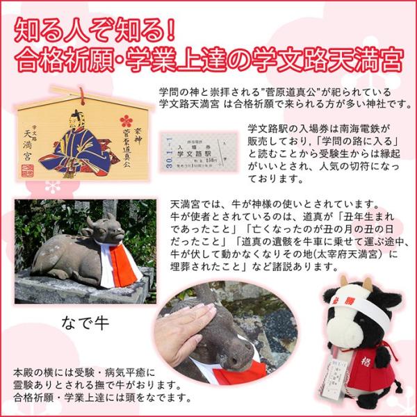 日本製 送料無料 合格祈願 牛の必勝もーちゃん ホワイト ブラック 17 5cm Moocyan Buyee Buyee Jasa Perwakilan Pembelian Barang Online Di Jepang