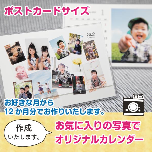 【数量限定】MYNAME 写真集+【特典】 卓上カレンダー&大判フォトカード 2026年版卓上カレンダー「くまいぬのお風呂物語」 | Anne Imai