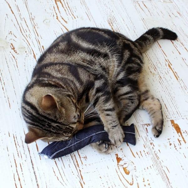 猫 おもちゃ キャットニップ キックス ダンデライオン けりぐるみ けりけり キッカートイ キャットトイ 西洋またたび Buyee Buyee Japanese Proxy Service Buy From Japan Bot Online