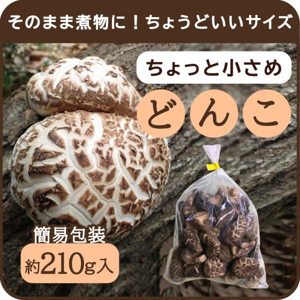 nukuien_25450025