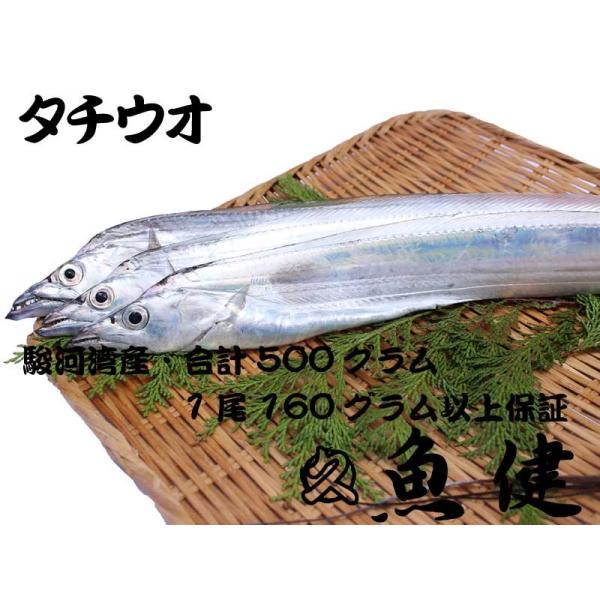 500グラム保証 丸ごと太刀魚 タチウオ 駿河湾産 お刺身 焼き 業務用に Buyee Buyee Japanese Proxy Service Buy From Japan Bot Online