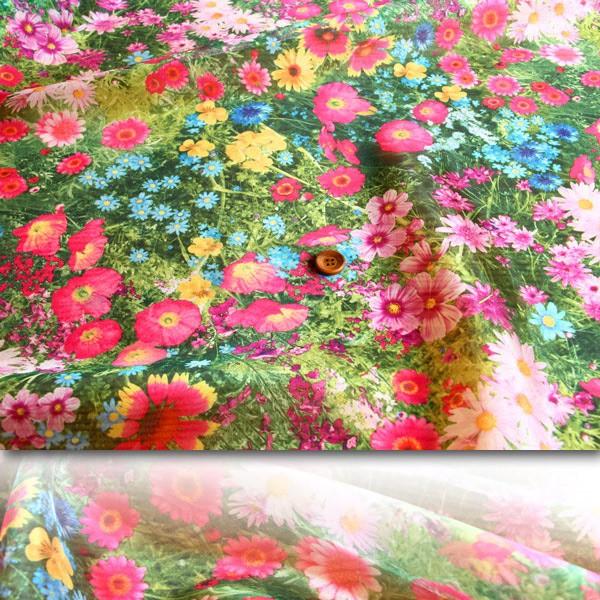 n zn z FlowersDream I[KW[n ē14  Cxg ߑ CeA CN 50cmP