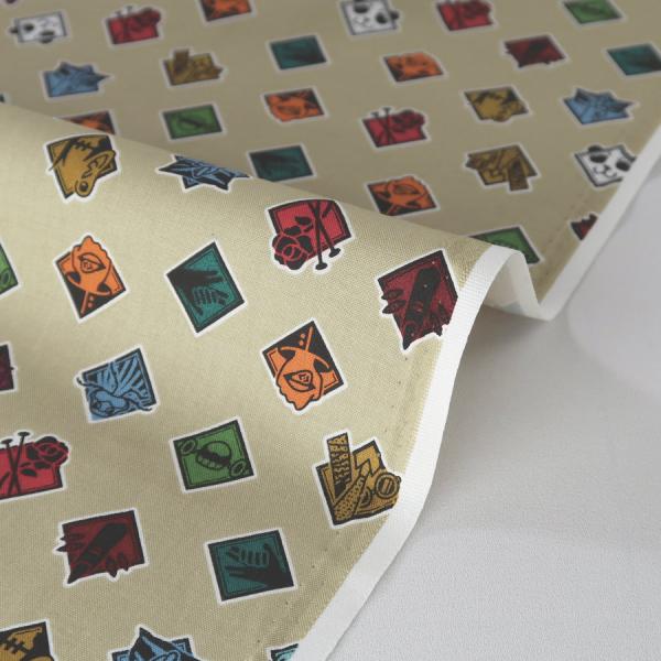 p Rbgn ACR(x[W) 10cmP ؂蔄