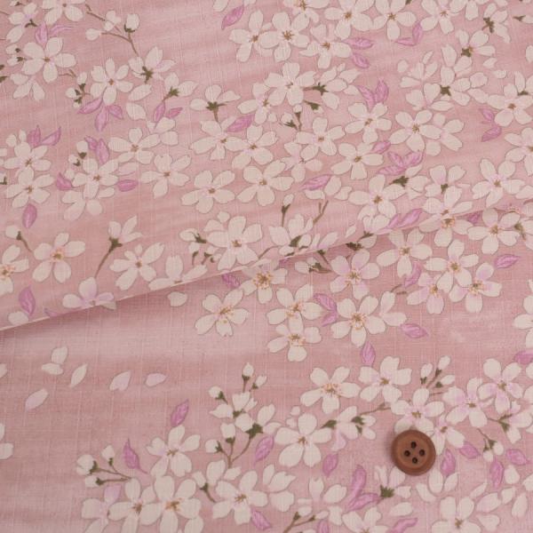 aRbgn (sN) 10cmP ؂蔄