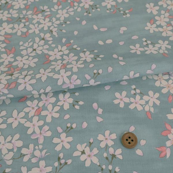 aRbgn ()  10cmP ؂蔄