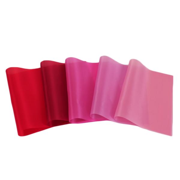 Lv[HdsԁEsNnt5FZbg A4TCY(21×30cm) ܂ݍ׍Hp