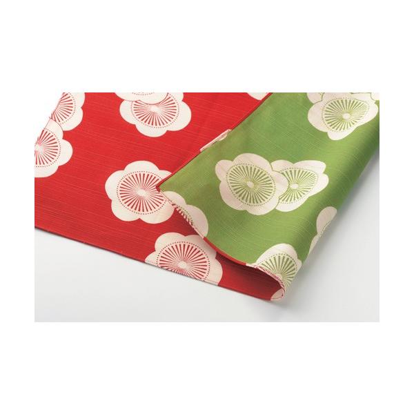 C~104cmpo[Vu@ɍlE~@ԁ^