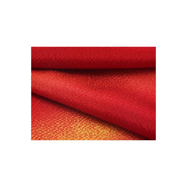 ߂񐶒nOf[V(t) 10cmP ؂蔄