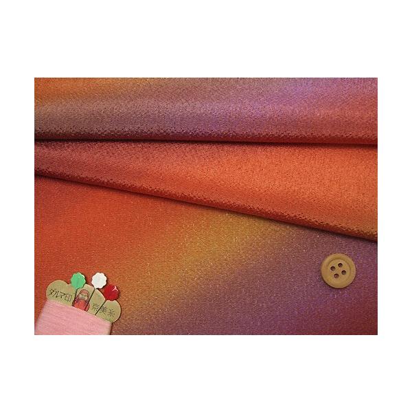 ߂񐶒nOf[V([F) 10cmP ؂蔄