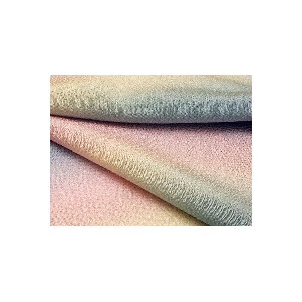 ߂񐶒nOf[V(t̐) 10cmP ؂蔄