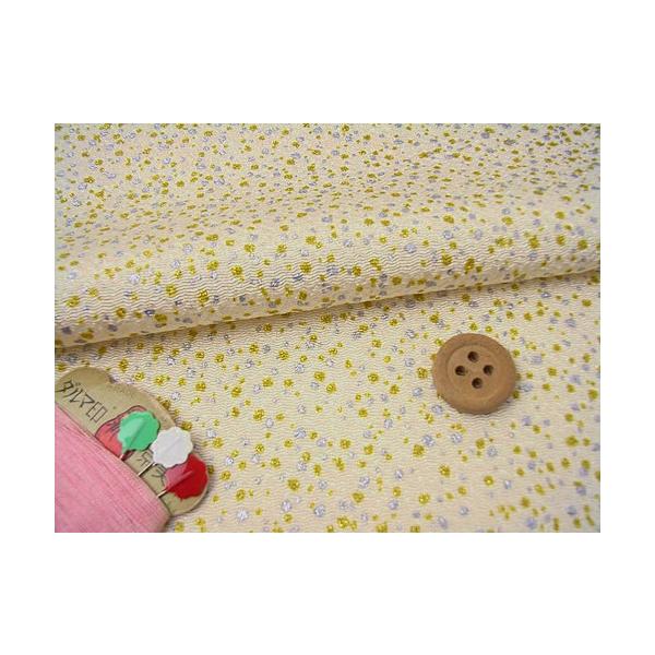 ߂񐶒nE₠(Ȃ) 10cmP ؂蔄