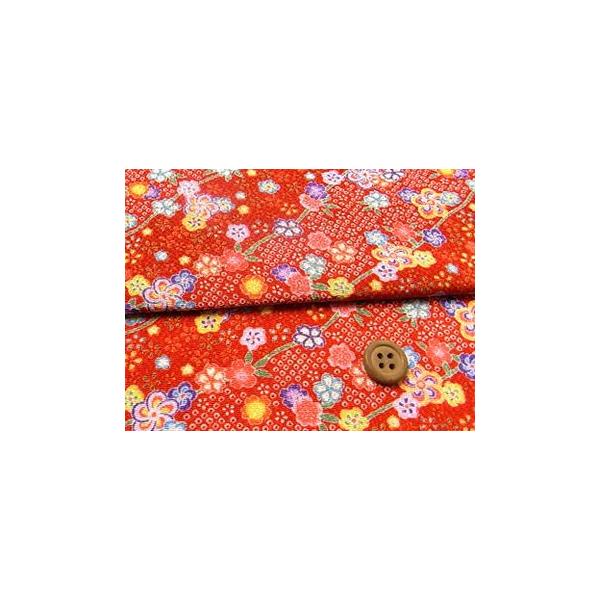 ߂񐶒nEDcɉԂ̋() 10cmP ؂蔄