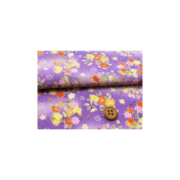 ߂񐶒nEԂ̗(F) 10cmP ؂蔄