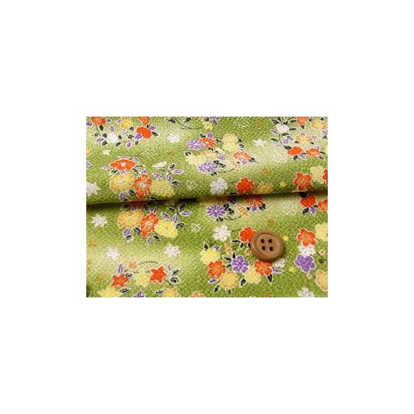 ߂񐶒nEԂ̗() 10cmP ؂蔄