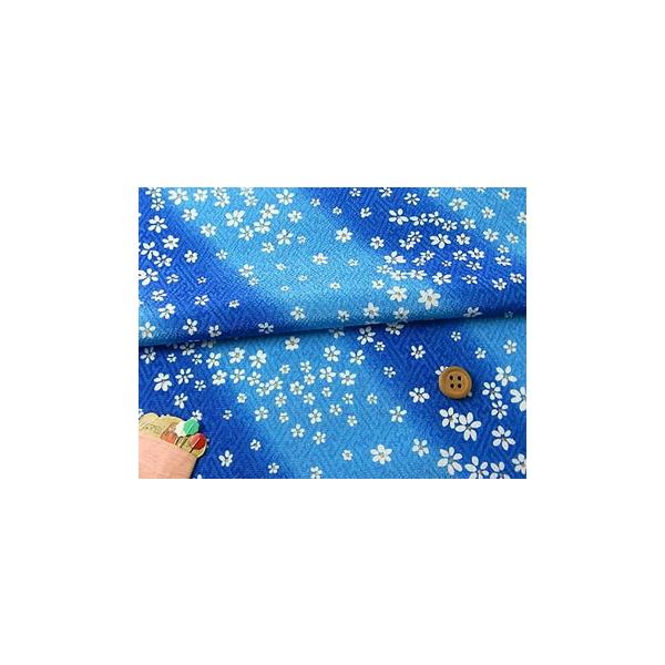 ߂񐶒nE₪ɔ() 10cmP ؂蔄