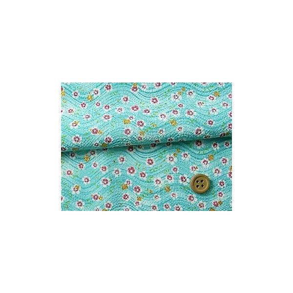 ߂񐶒nEgɂ鏬(F) 10cmP ؂蔄