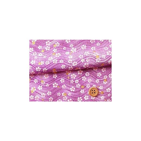 ߂񐶒nEgɂ鏬() 10cmP ؂蔄