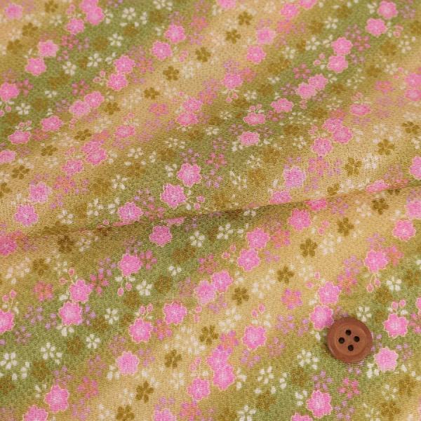 ߂񐶒n Fڂɍ() 10cmP ؂蔄