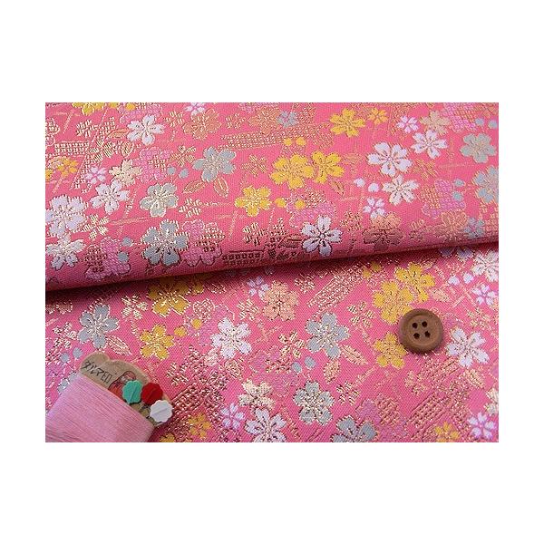 En()|_ɍ(sN) 10cmP ؂蔄