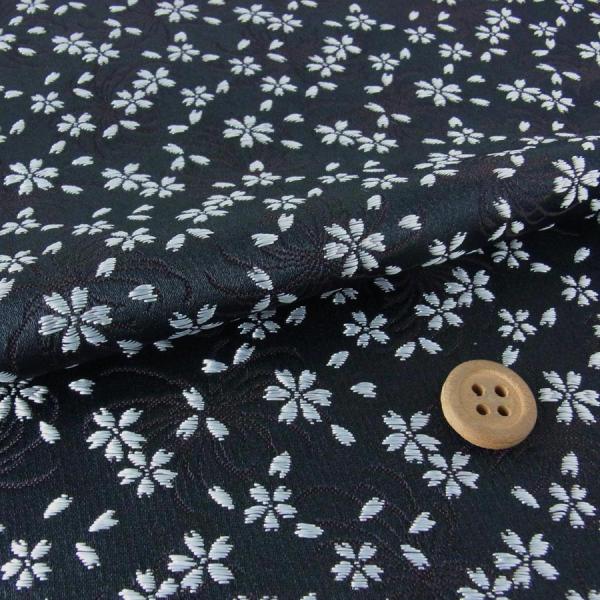 En()(/Vo[) 10cmP ؂蔄