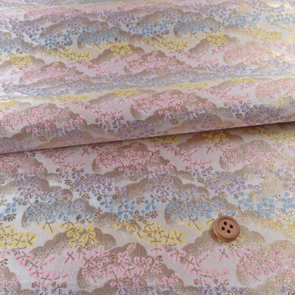 En() _ɔ() 10cmP ؂蔄