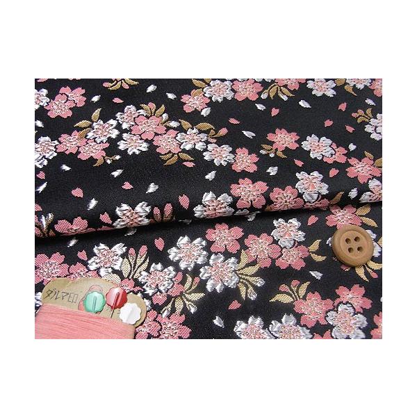 En()a(/sN) 10cmP ؂蔄