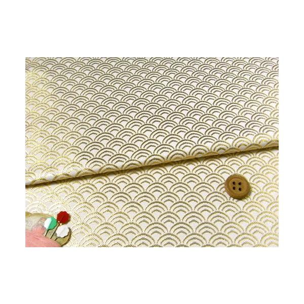 En()Cg(/) 10cmP ؂蔄