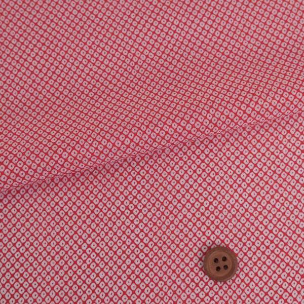 V{(z)߂񐶒n ̂() 10cmP ؂蔄