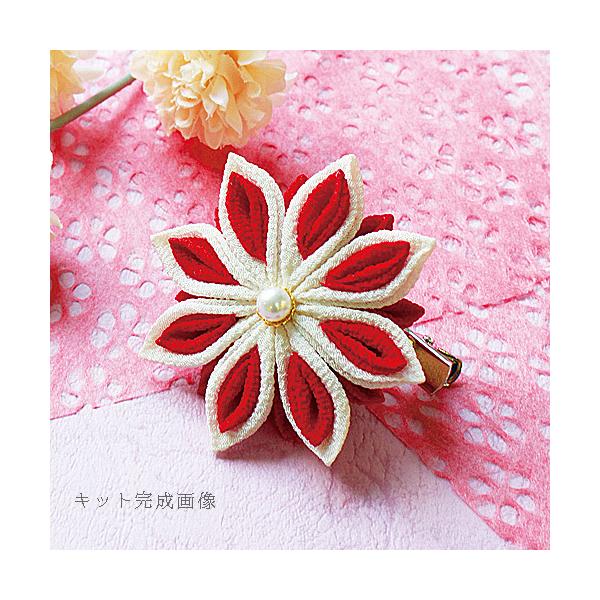 ܂ݍ׍HLbg Ԃ24/g̃RT[WNbv(܂݁j