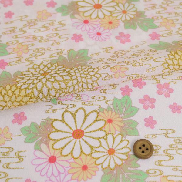 z߂񐶒n  ϐɋeƍ(/sN) 10cmP ؂蔄