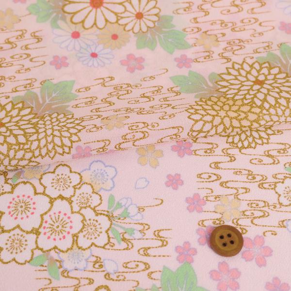 z߂񐶒n  ϐɋeƍ(WsN) 10cmP ؂蔄