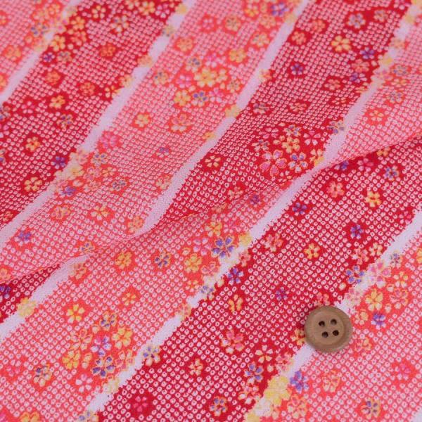 z߂񐶒n ΂߂̂ɏ(/) 10cmP ؂蔄