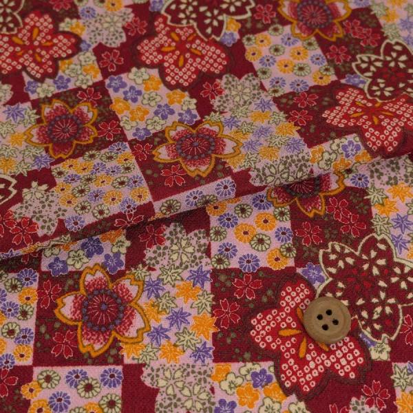 z߂񐶒n sɎlG() 10cmP ؂蔄