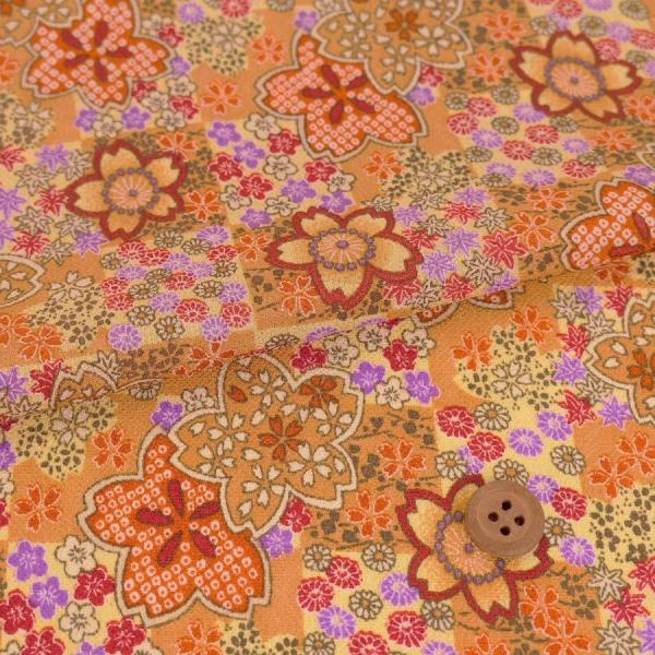 z߂񐶒n sɎlG(R) 10cmP ؂蔄