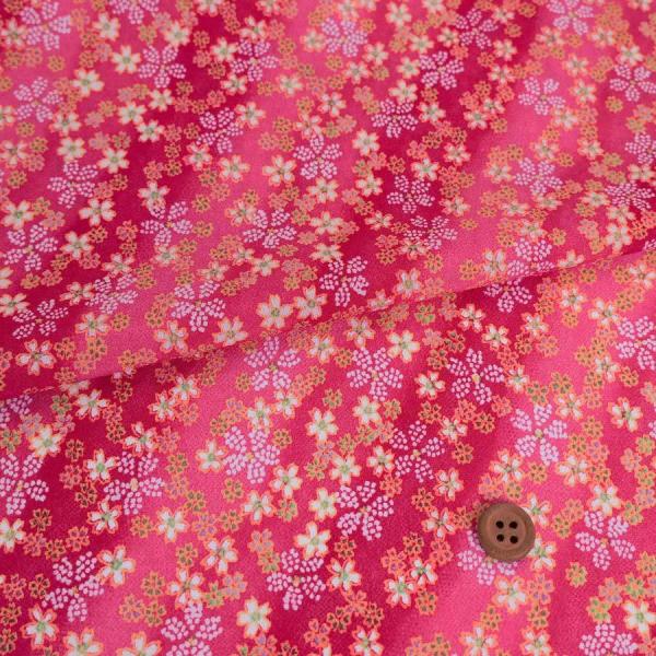 z߂񐶒n ͂ڂɕ() 10cmP ؂蔄