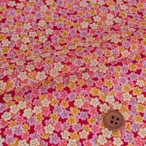 z߂񐶒n Y() 10cmP ؂蔄