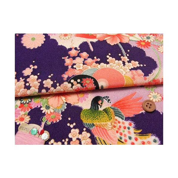 z߂EԍE() 10cmP ؂蔄