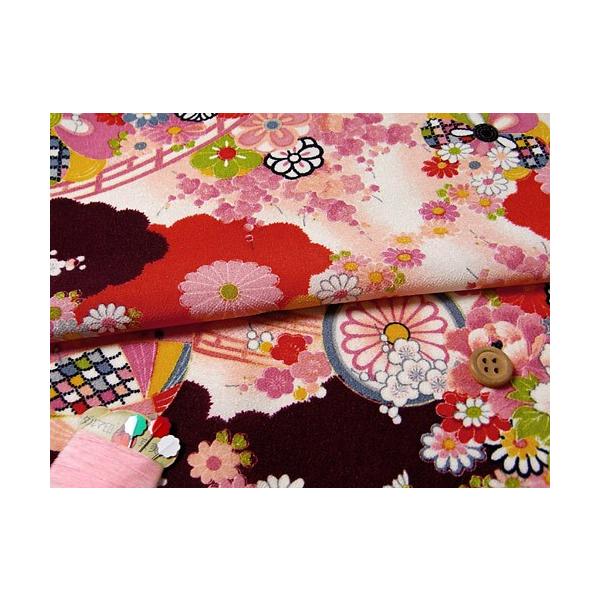 z߂Eӂ̉ԌiF() 10cmP ؂蔄