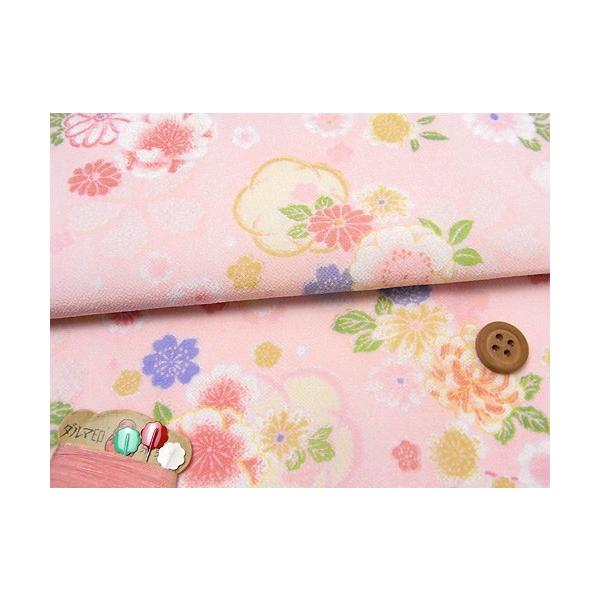 z߂Eaԕ(sN) 10cmP ؂蔄