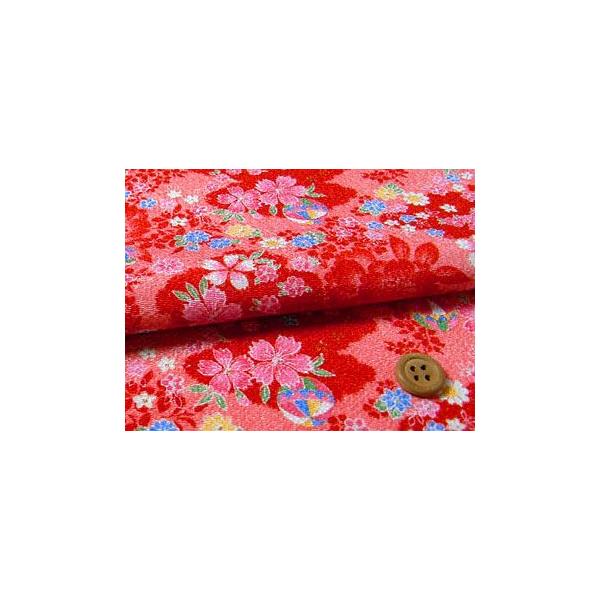 ߂񐶒nEݍɎ܂() 10cmP ؂蔄