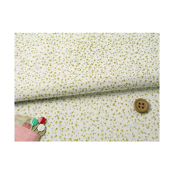 ߂񐶒nE₠() 10cmP ؂蔄