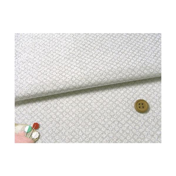 ߂񐶒nEDcڂ() 10cmP ؂蔄