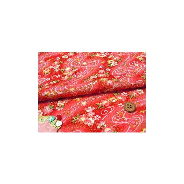 ߂񐶒nE点񗬐ɉԂƒ() 10cmP ؂蔄