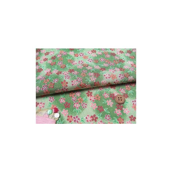 ߂񐶒nE() 10cmP ؂蔄