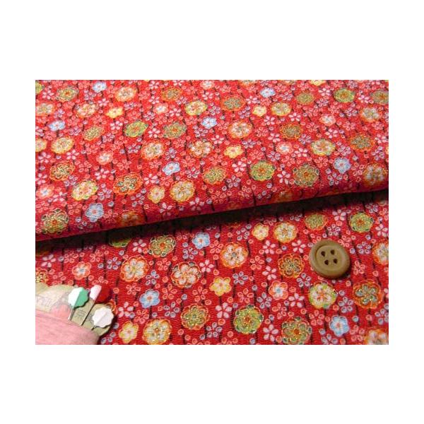 ߂񐶒nE؂񂴂() 10cmP ؂蔄