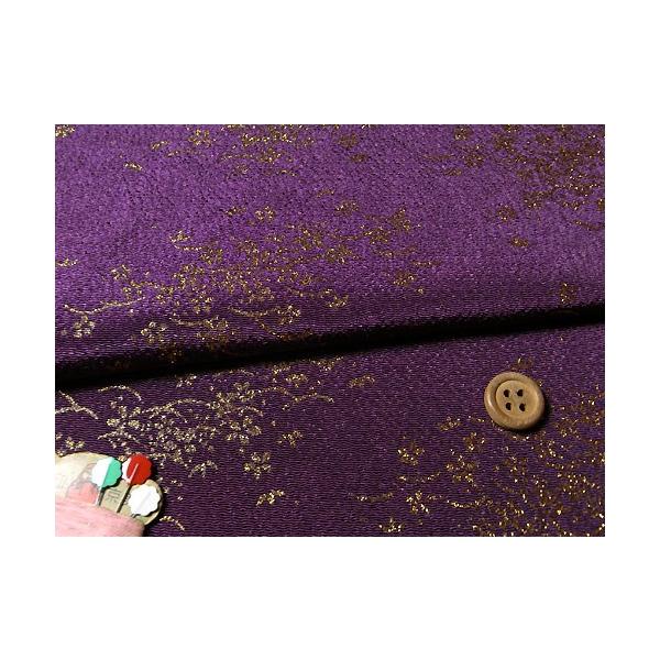 ߂񐶒nEIłɍ() 10cmP ؂蔄