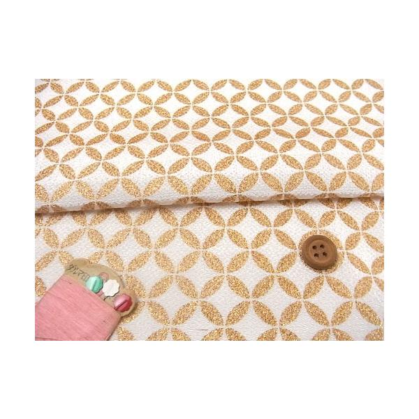 ߂񐶒nE⎵Ȃ(/) 10cmP ؂蔄