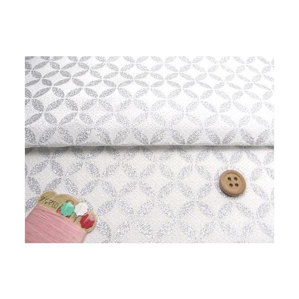 ߂񐶒nE⎵Ȃ(/) 10cmP ؂蔄